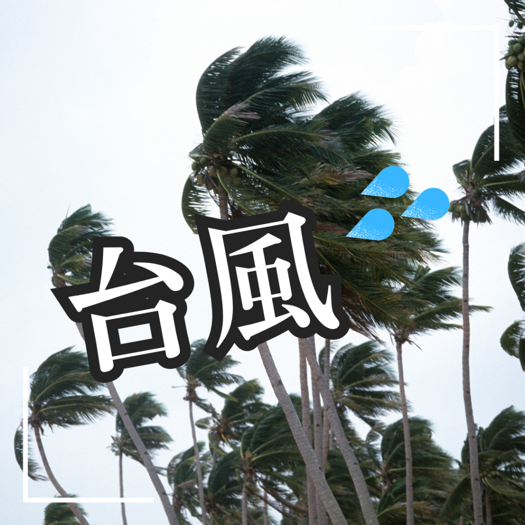 困っちゃう台風